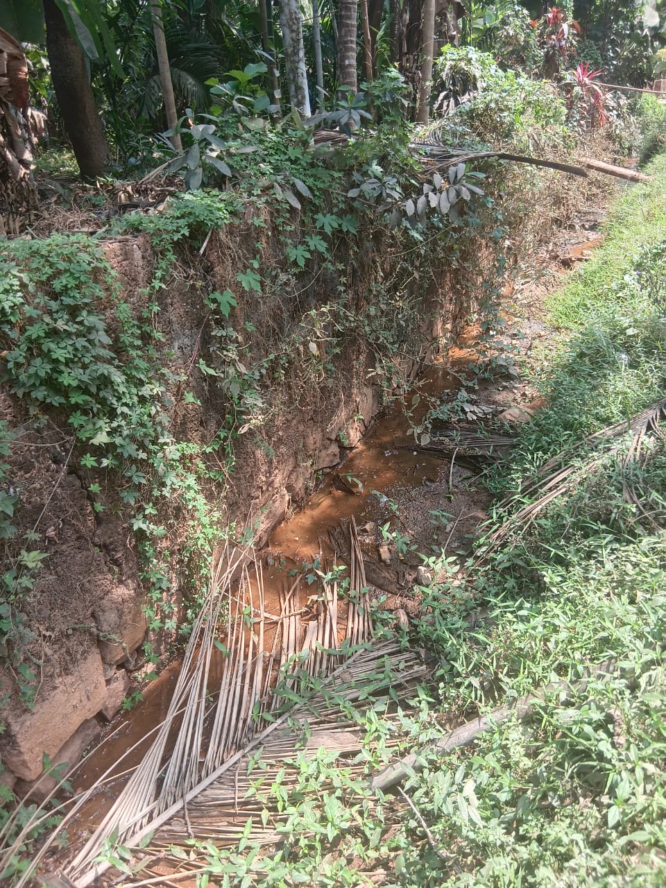മഴക്കാല .പൂർവ്വ ശുചീകരണം ആരംഭിക്കണം. തോടുകളിലെ മാലിന്യങ്ങൾ നീക്കം ചെയ്യണം