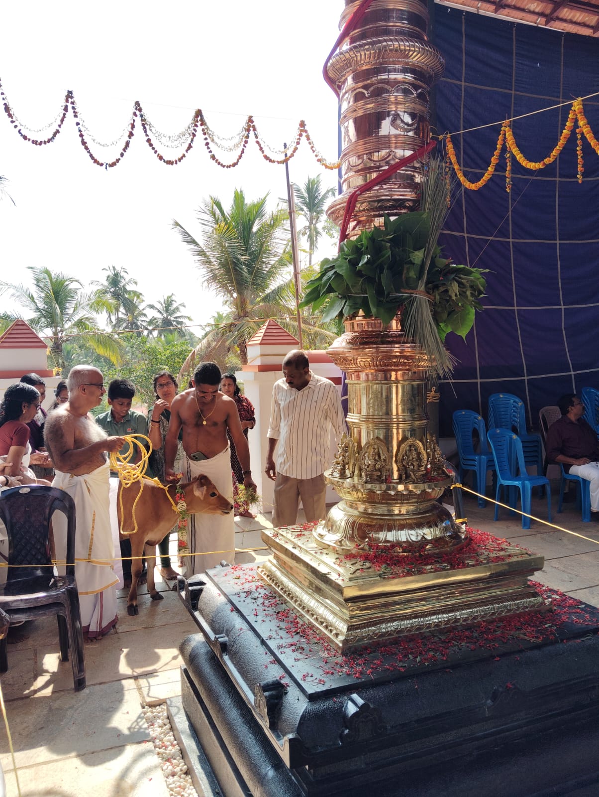 കോടിയേരി തൃക്കൈക്കൽ ശിവക്ഷേത്രത്തിൽ 'നന്ദിനി കുട്ടിയെ' നടയിരുത്തി.