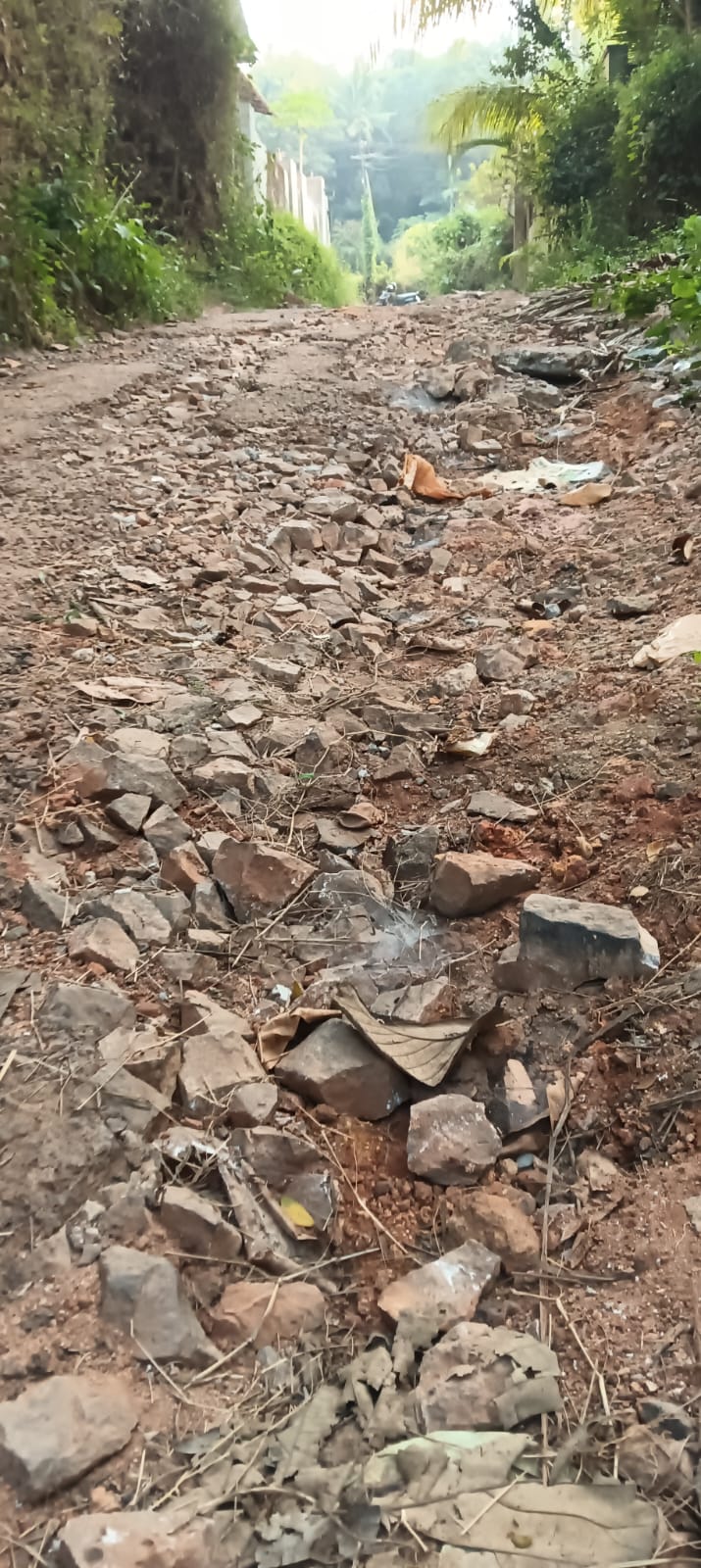 ജൽ ജീവൻ പദ്ധതി: വെട്ടിപ്പൊളിച്ചിട്ട റോഡുകൾ നാട്ടുകാരെ നോക്കി കൊഞ്ഞനം കുത്തുന്നു...