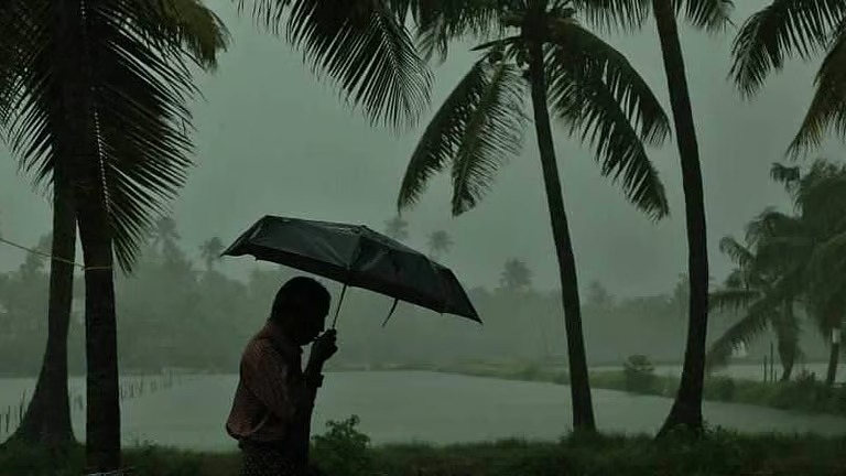 മഴ കനക്കുന്നു, ഏഴു ജില്ലകളില്‍ ഇന്ന് ശക്തമായ മഴയ്ക്ക് സാധ്യത, യെല്ലോ അലര്‍ട്ട്