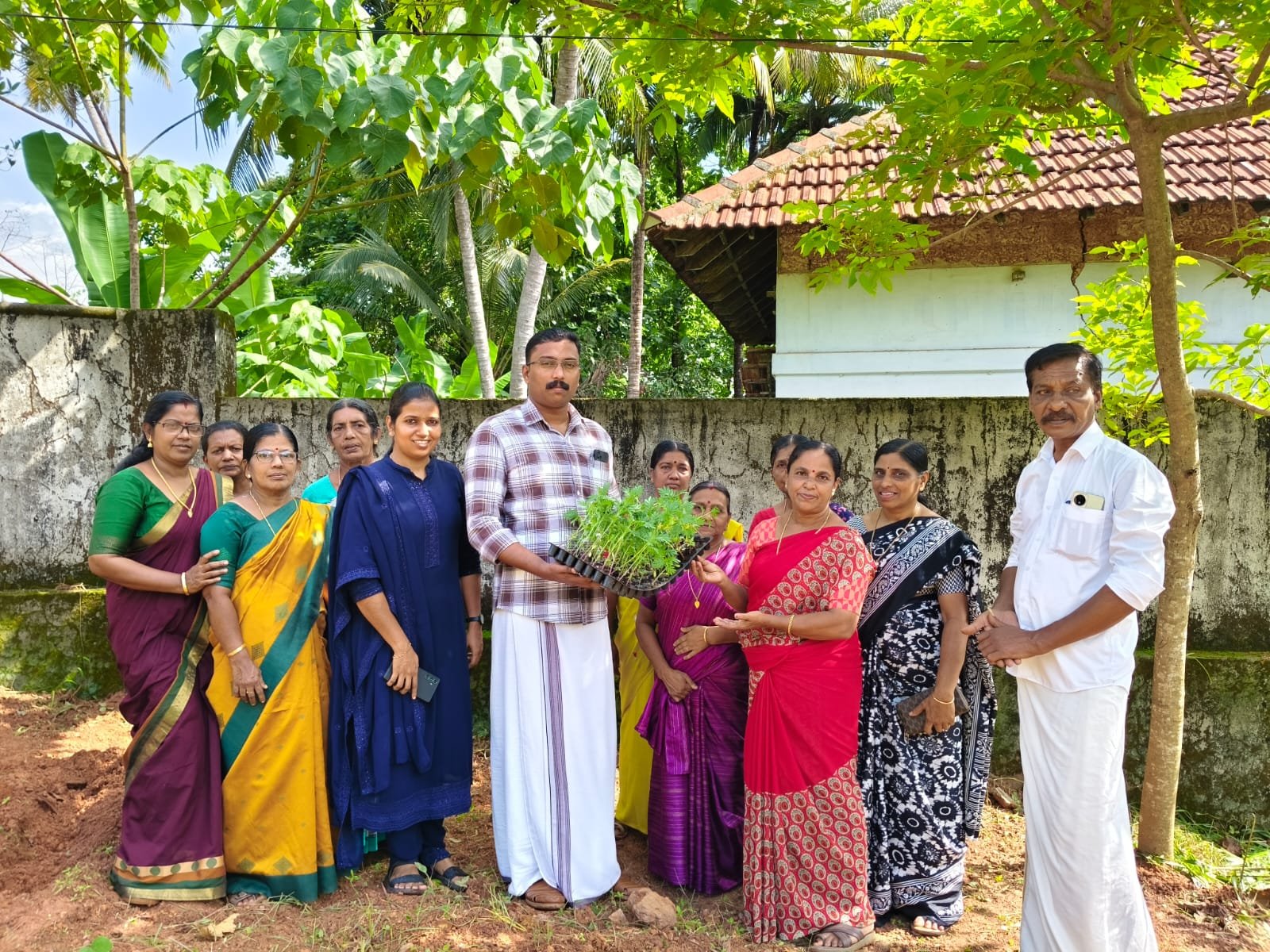 തലശേരി ബ്ലോക്ക്‌ പഞ്ചായത്ത്‌ ജനകീയ ആസൂത്രണ പദ്ധതി 2026-2027 യിൽ ഉൾപ്പെടുത്തി ന്യൂ മാഹി ഗ്രാമപഞ്ചായത്ത് കൃഷി ഭവൻ നേതൃത്വത്തിൽ ചെണ്ടുമല്ലി തൈകൾ വിതരണം ചെയ്തു.