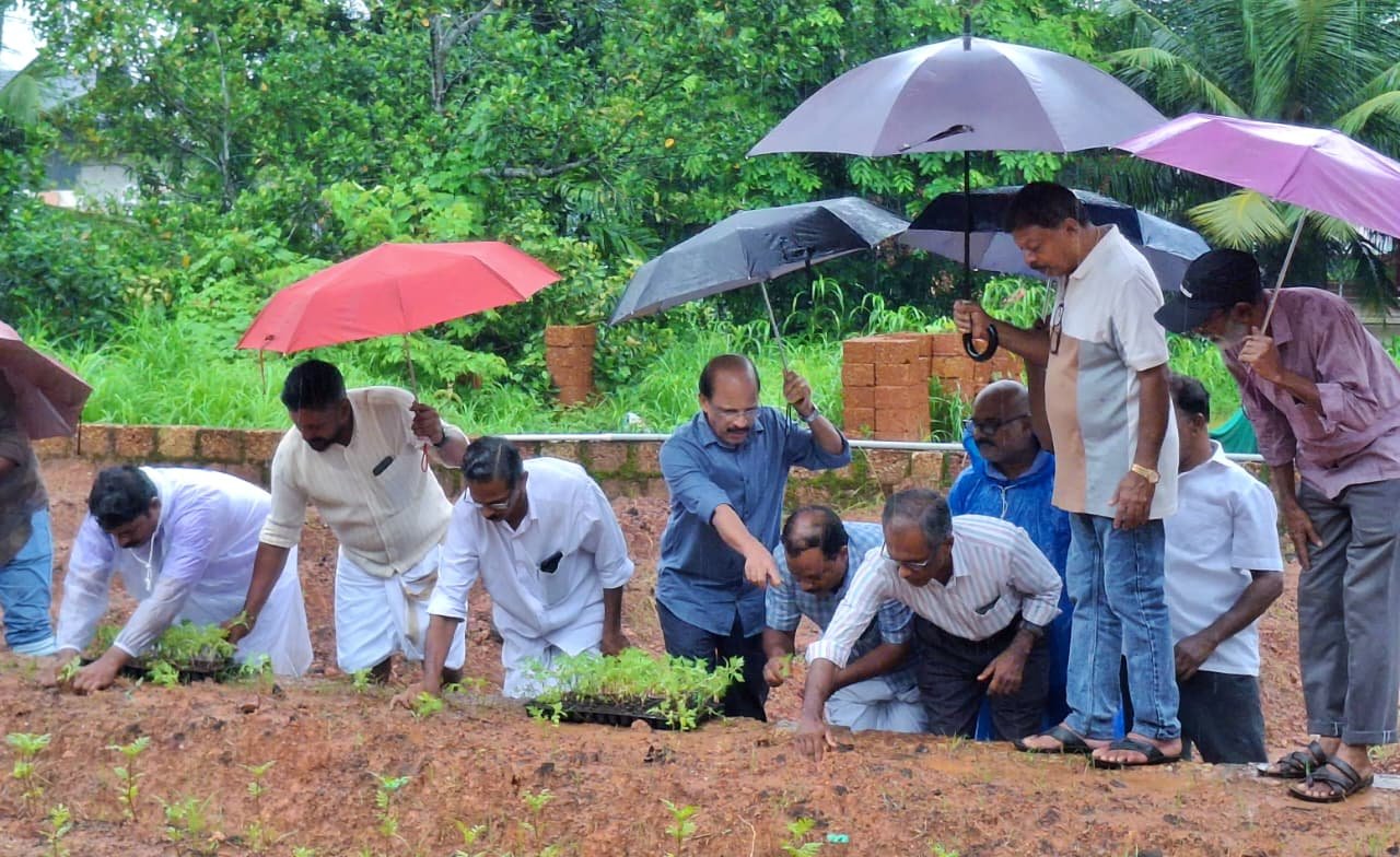കർഷക സംഘം മാഹി വില്ലേജ് കമ്മിറ്റിയുടെ നേതൃത്വത്തിൽ തുടർച്ചയായി  4ആം വർഷവും പൂകൃഷിക്ക് തൈ നട്ടു.